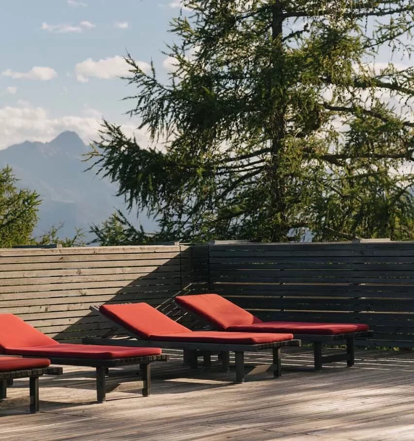 Eröffnungsspecial -25 %