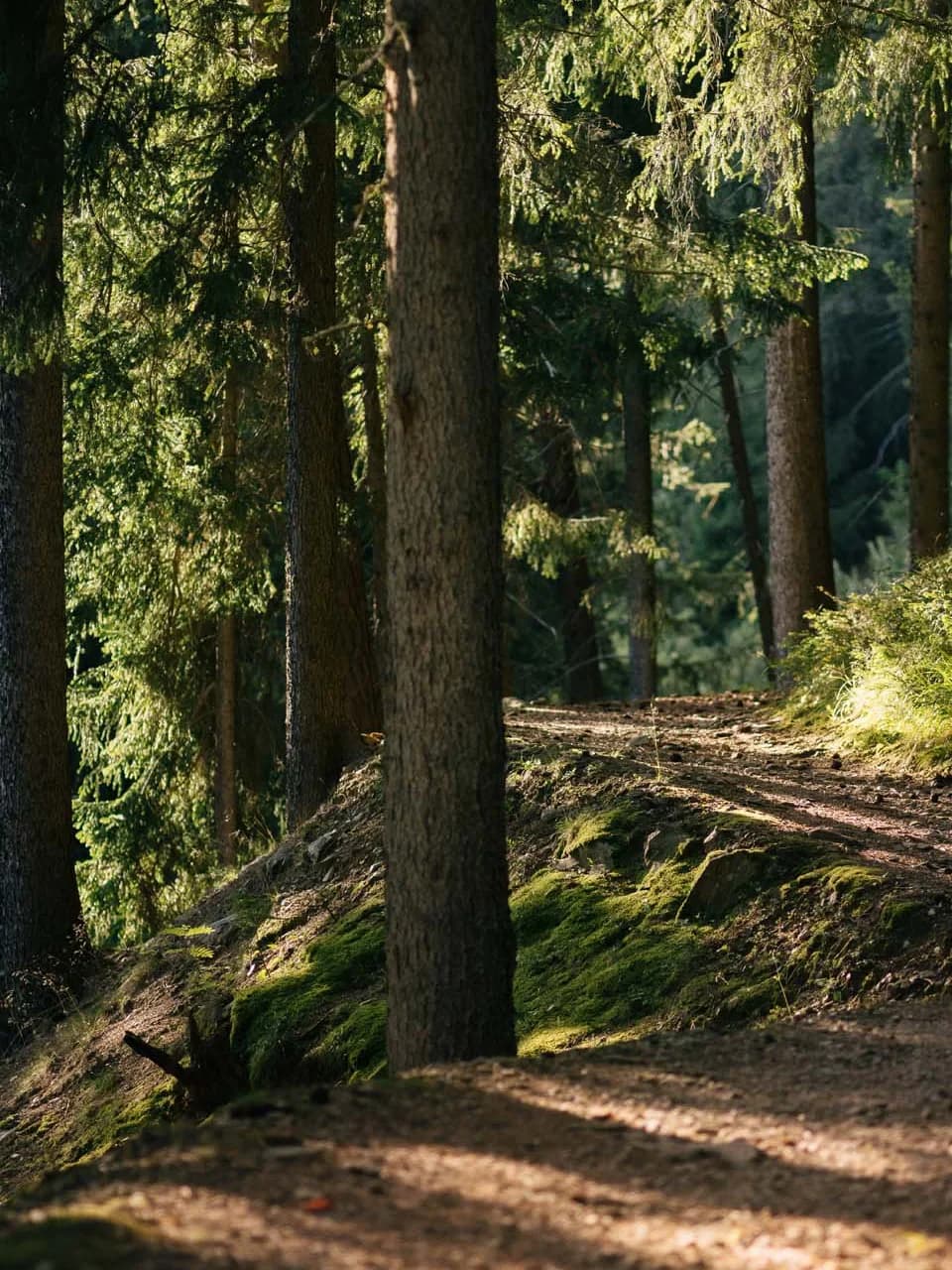 Female Leadership Retreat – My Inner Summit