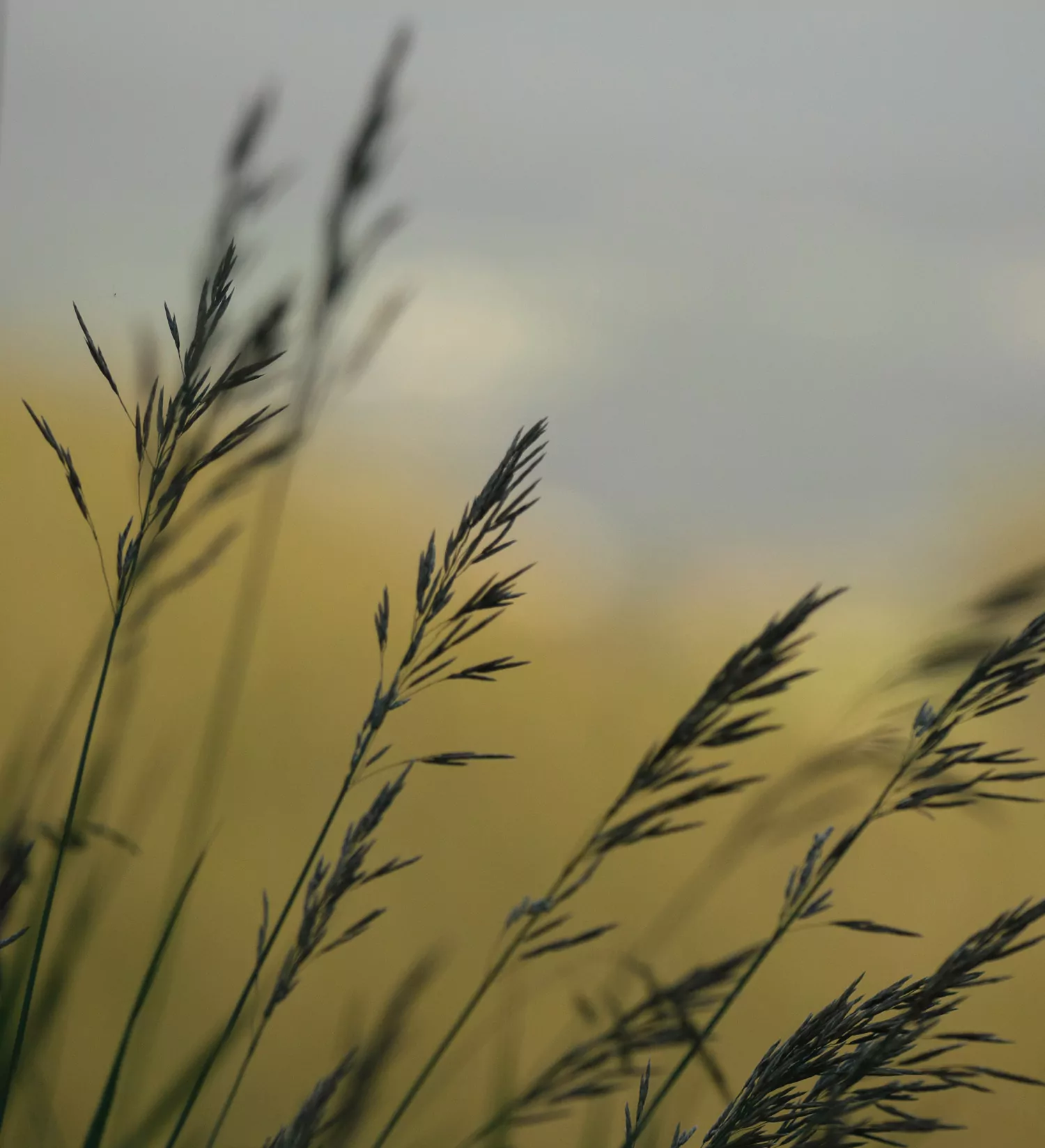 Glutenfrei & achtsam – Retreat by Dr. Schär